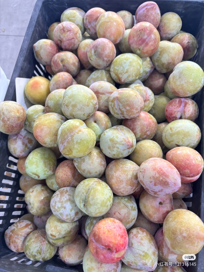 水果，嵊州桃形李是嵊州市特产，味美价廉，富含营养，包邮