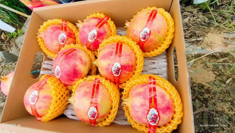 原产地突尼斯软籽石榴精品商超1级-2级果电商果