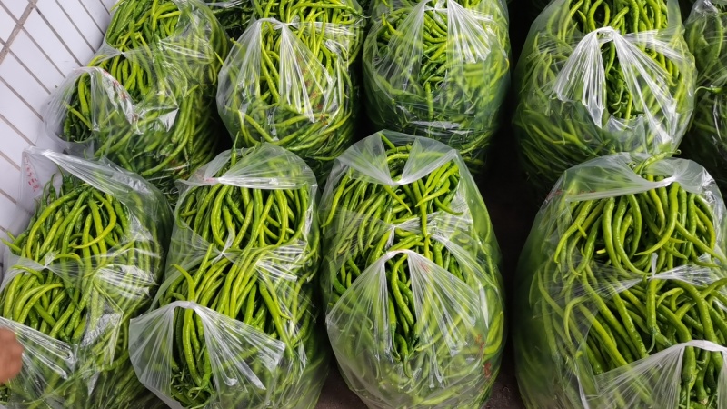 精品二荆条