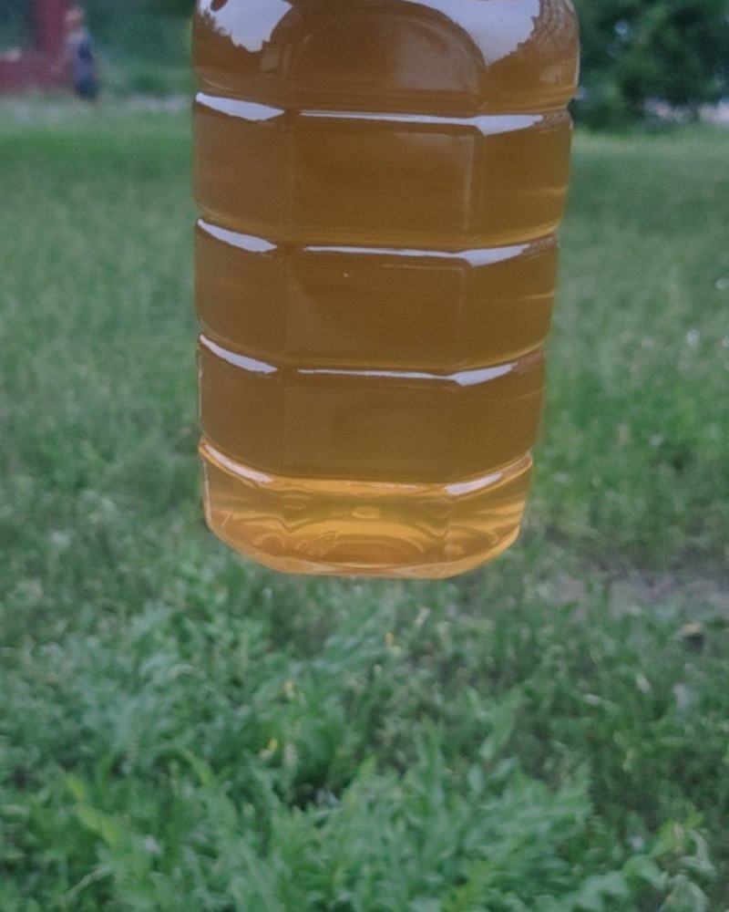 蜂蜜