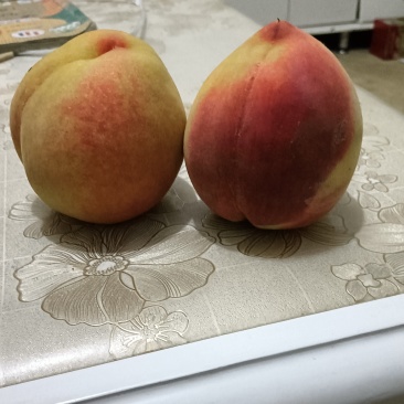 陕西安康黄桃