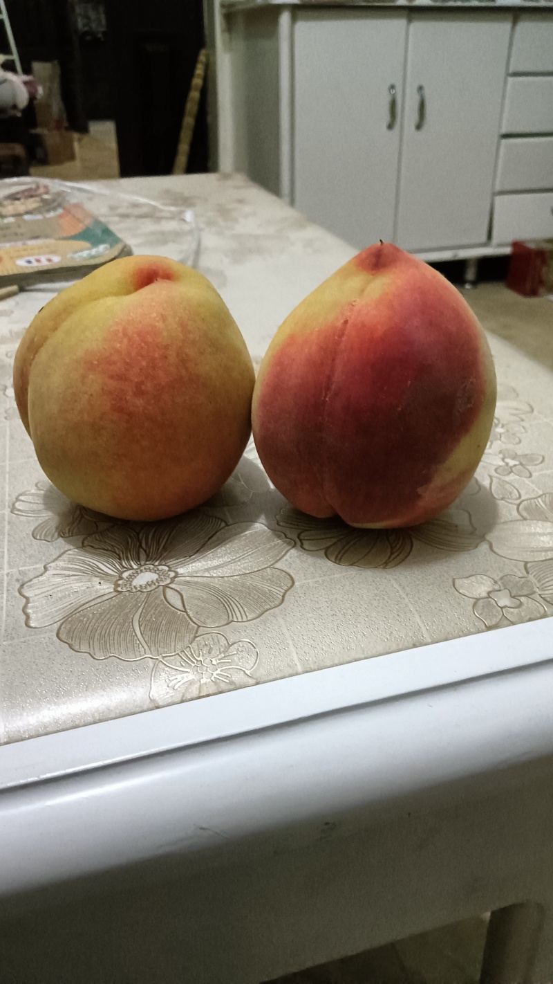 陕西安康黄桃
