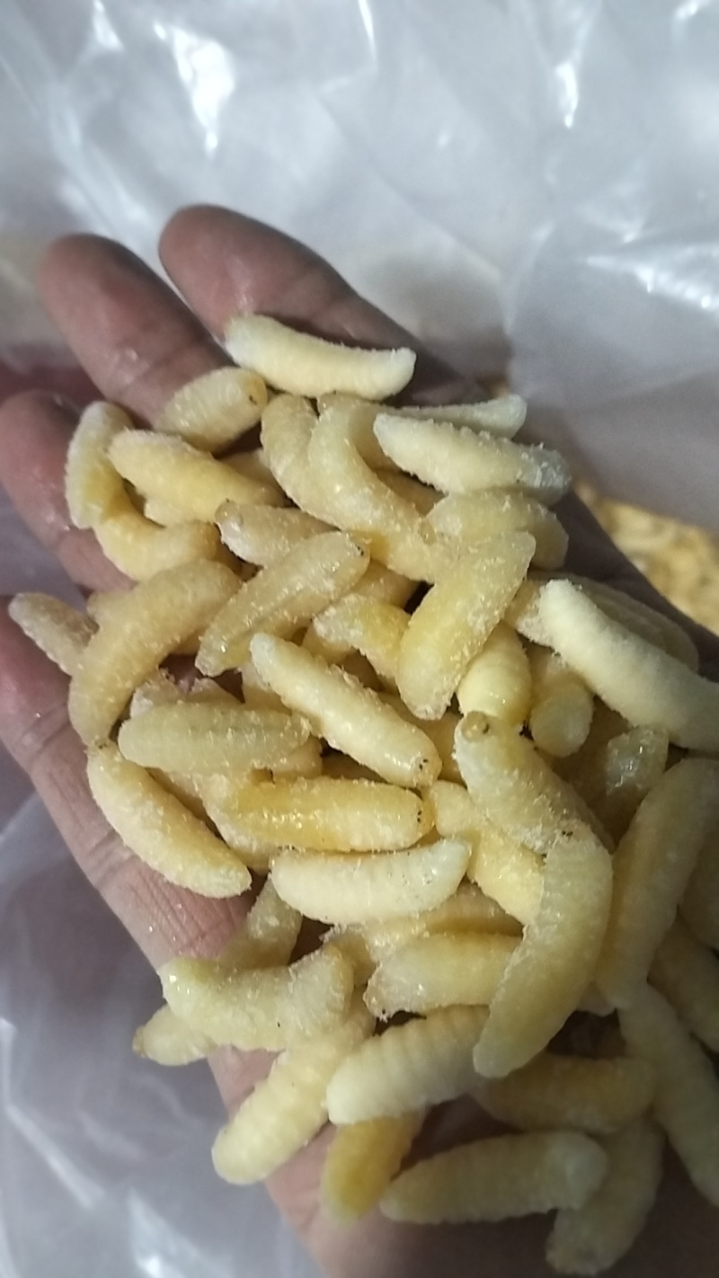 今年新鲜蜂蛹，一级，二级，四级。都有。欢迎老板下单！