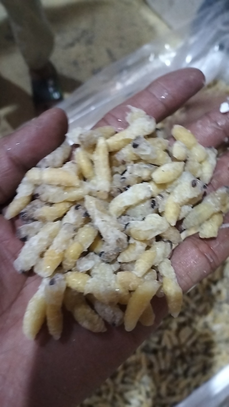今年新鲜蜂蛹，一级，二级，四级。都有。欢迎老板下单！