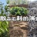 普洱茶生茶2023年春357饼