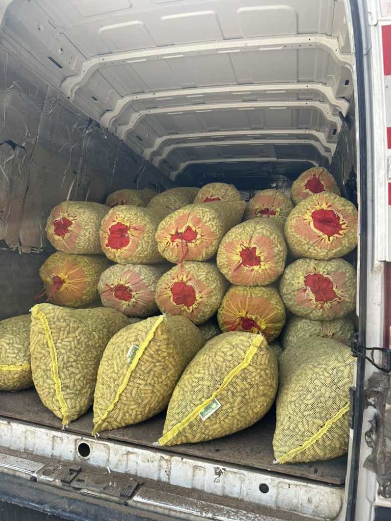 开封大白沙花生
