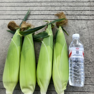 甜糯玉米统货，没有太小的棒，