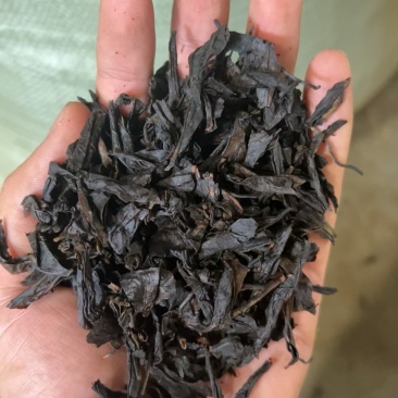 乌龙茶