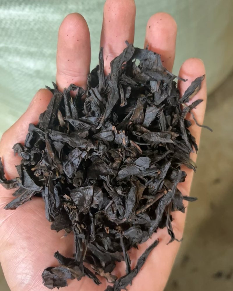 乌龙茶