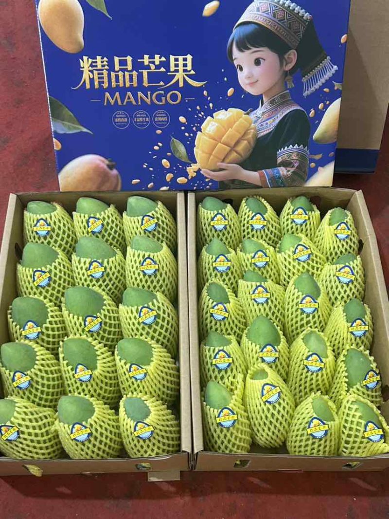 广西百色桂七芒果