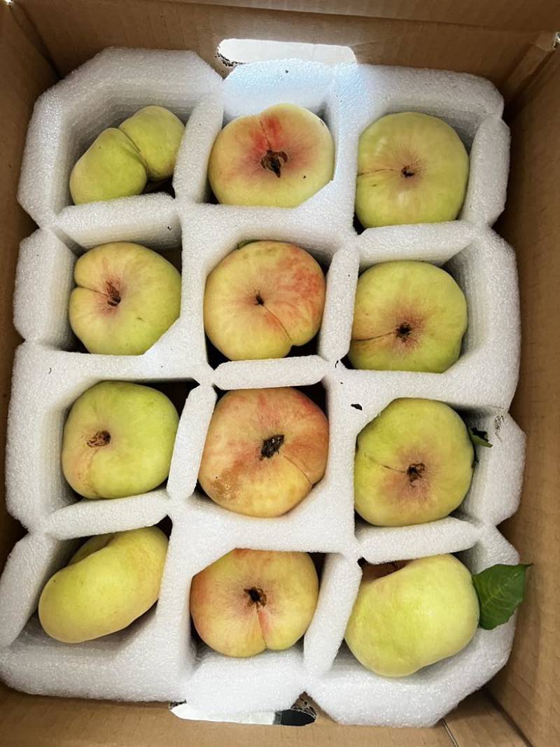 蟠桃（水蜜桃）品种