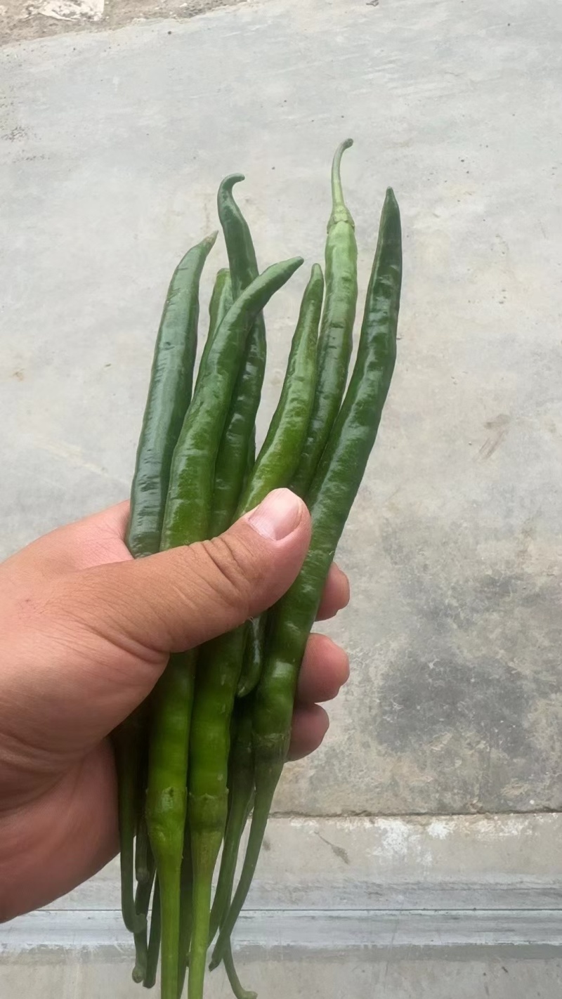 精品黑线
