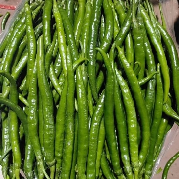 精品黑线