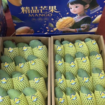 桂七芒果可一件代发价格优惠