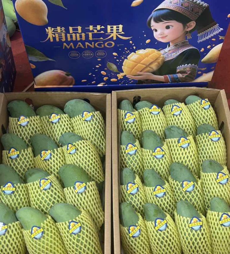 桂七芒果可一件代发价格优惠