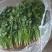 唐山铁杆青香菜