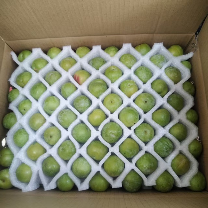 青脆李