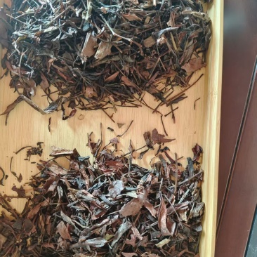 奶茶原料（红茶，绿茶，茉莉花茶，乌龙茶，鸭屎香）