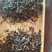 奶茶原料（红茶，绿茶，茉莉花茶，乌龙茶，鸭屎香）