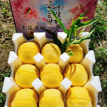 炎陵黄桃