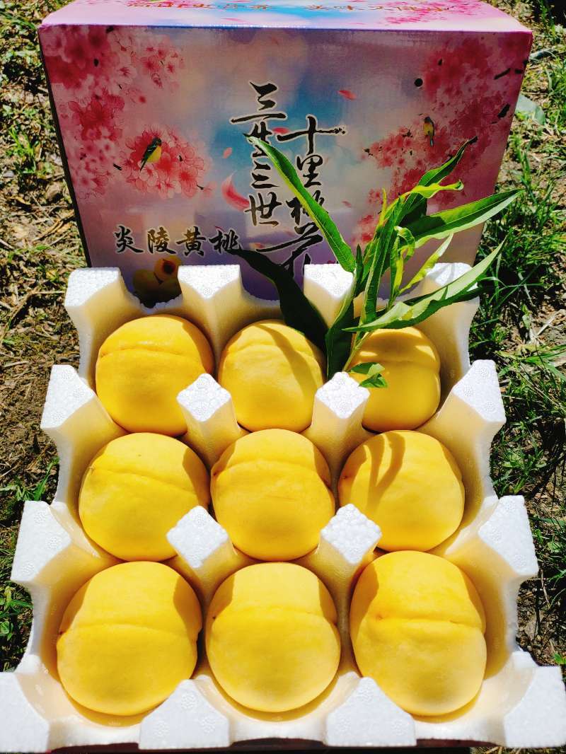 炎陵黄桃