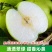 安徽正宗砀山青梨翠冠梨