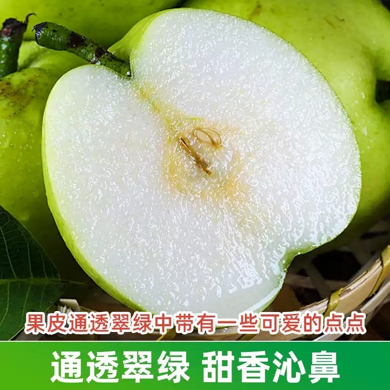 安徽正宗砀山青梨翠冠梨