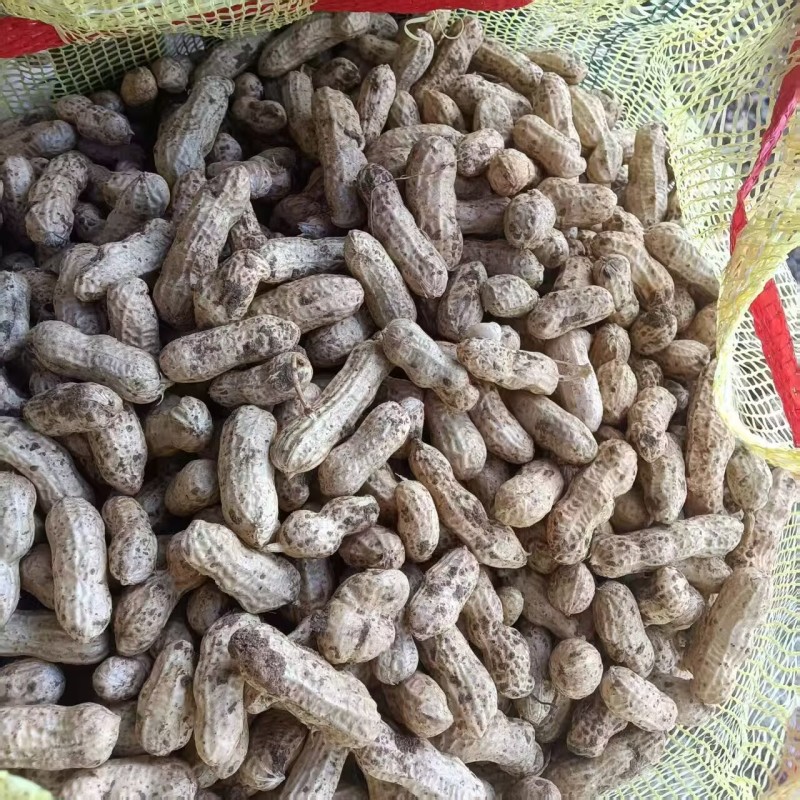 果子饱满，新鲜，价格低