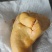 鸡宝