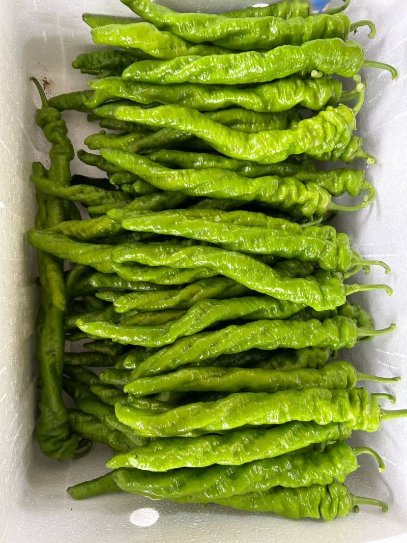 芜湖青椒（薄皮椒），螺丝椒，螺线椒，黄皮尖椒（羊角椒，）
