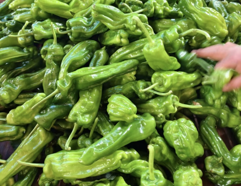 芜湖青椒（薄皮椒），螺丝椒，螺线椒，黄皮尖椒（羊角椒，）