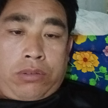 淹制杭椒大量有货价格合适？