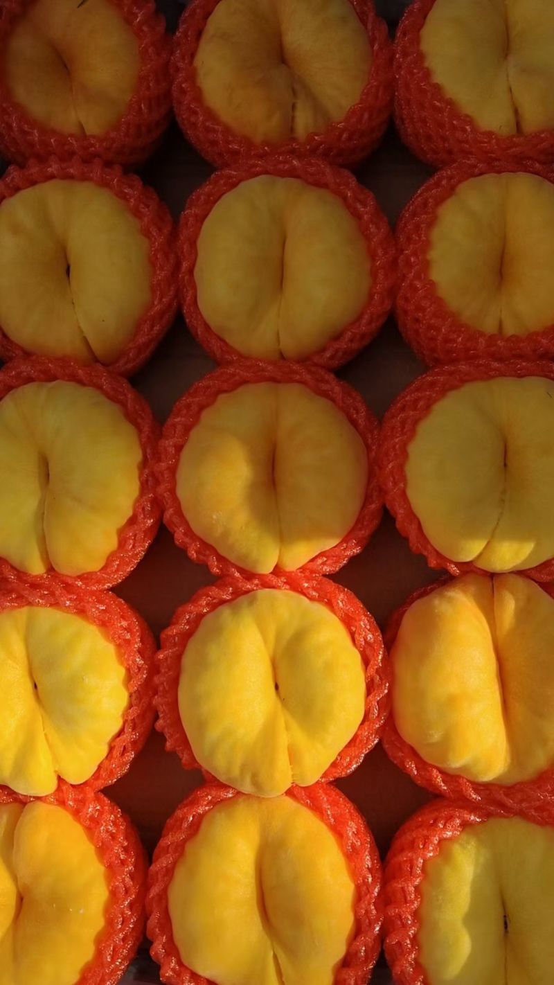 桃
