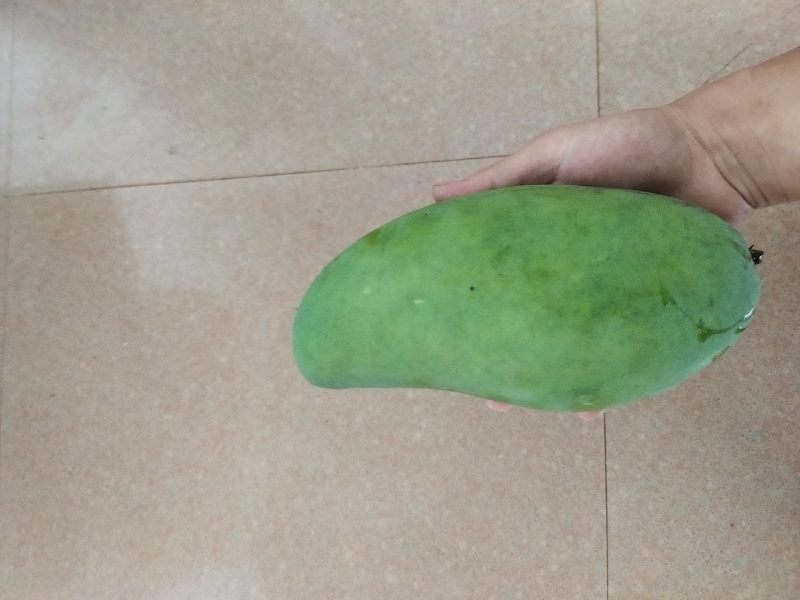 云南象牙甜脆芒果