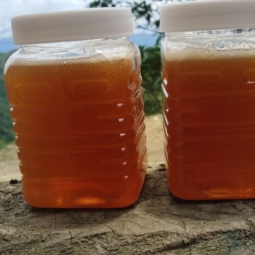 云南正宗土蜂蜜