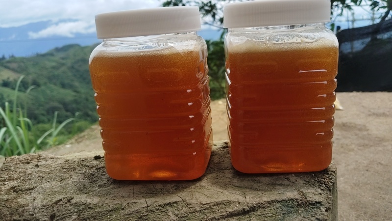 云南正宗土蜂蜜