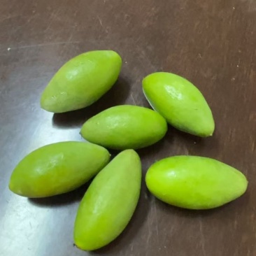 2号青橄榄，超低价