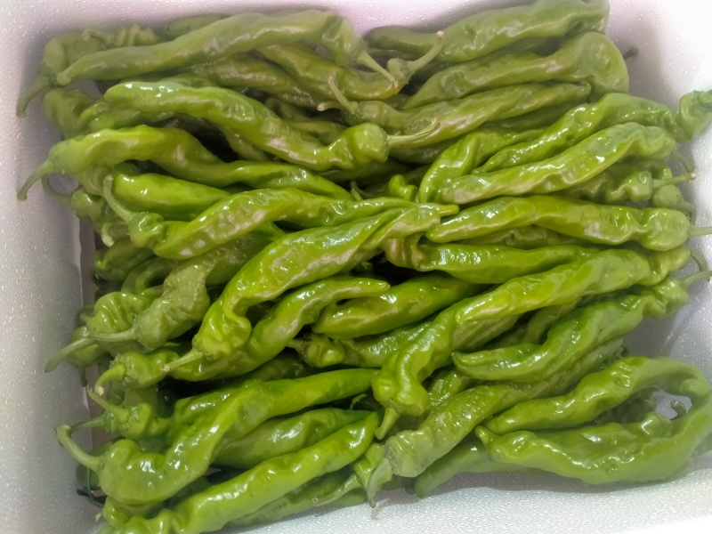 螺丝椒