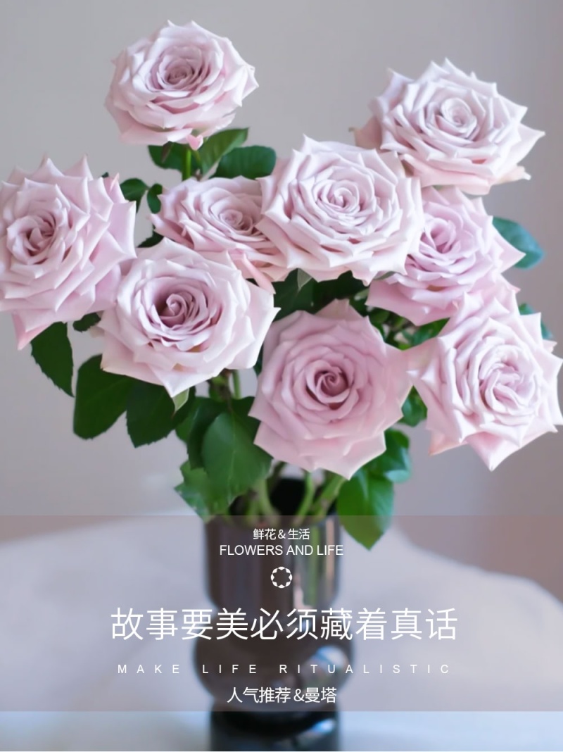新疆月季花
