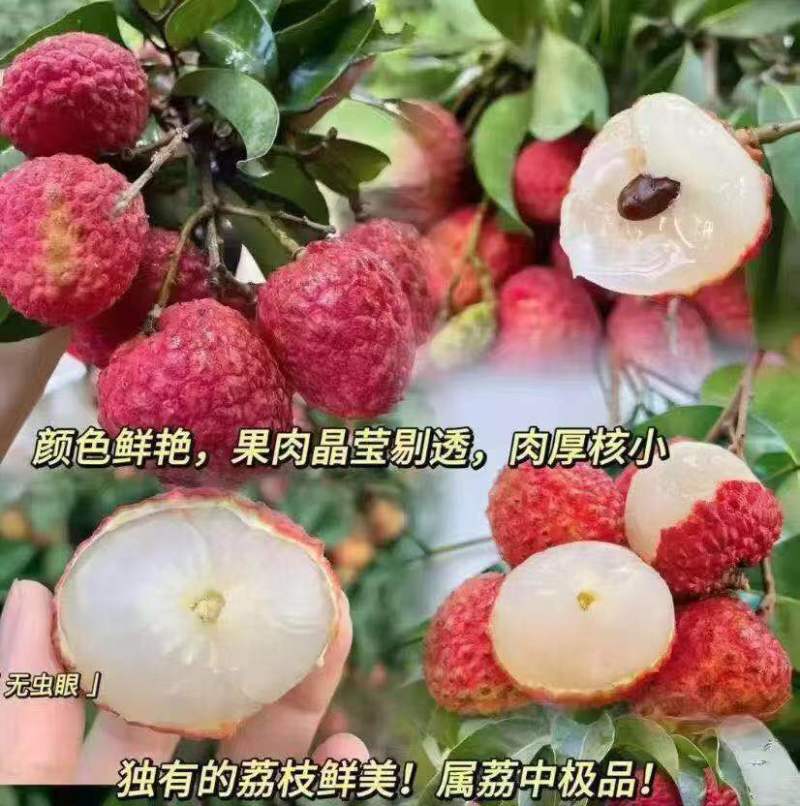 荔枝