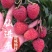 荔枝