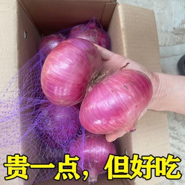二红水果洋葱