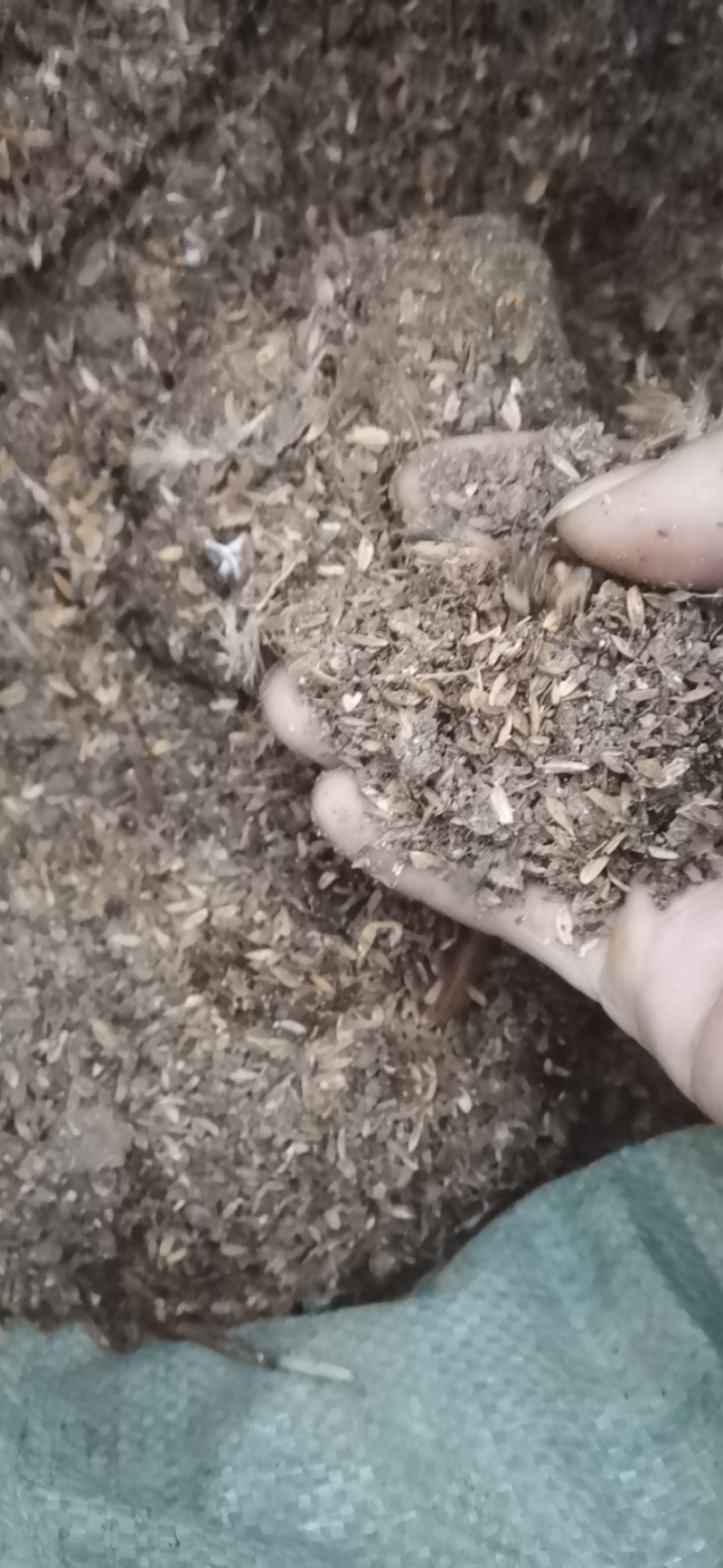 稻壳鸡粪，纯鸡粪，羊粪，兔粪