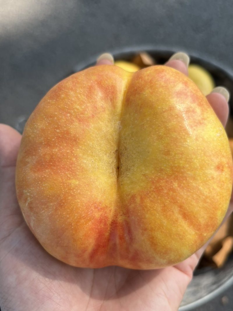 油蟠桃