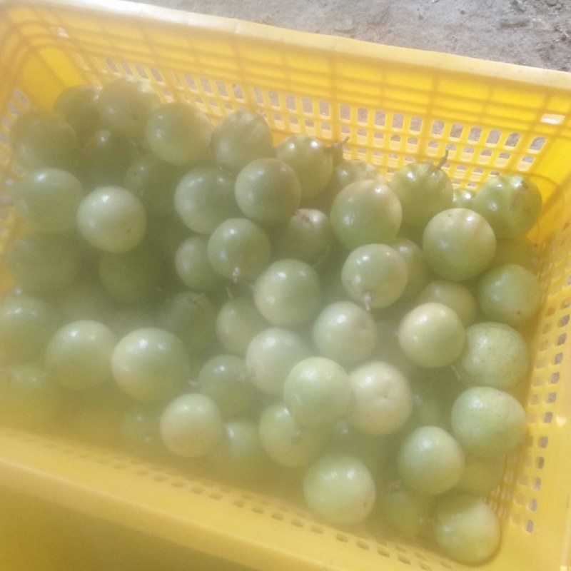 百香果