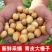 常年青皮榛子，青胡榛子，炒熟榛子。可一件代发。