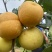 乳儿梨🍐