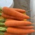自家种植的胡萝卜🥕