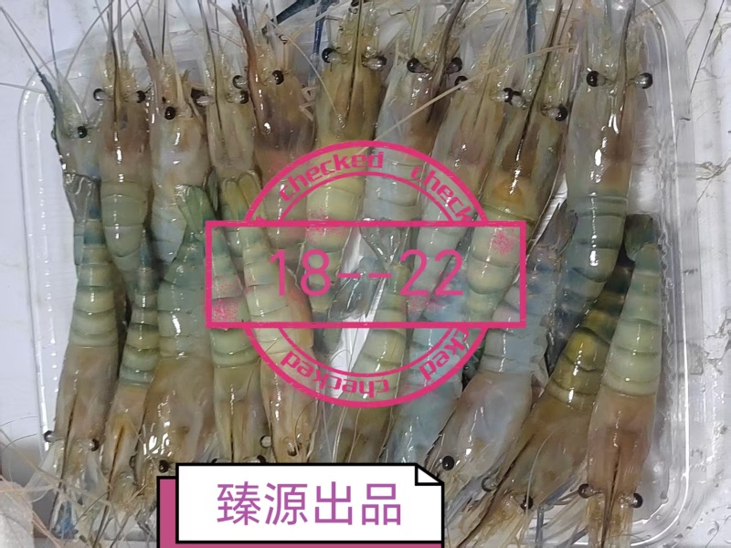 罗氏虾