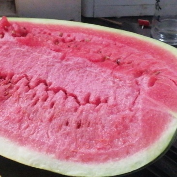 宁夏硒砂瓜